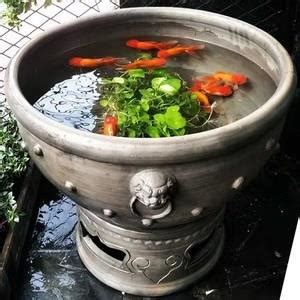 古法養魚|有過濾也不是活水！ 古法生態魚缸養魚，死水不臭的。